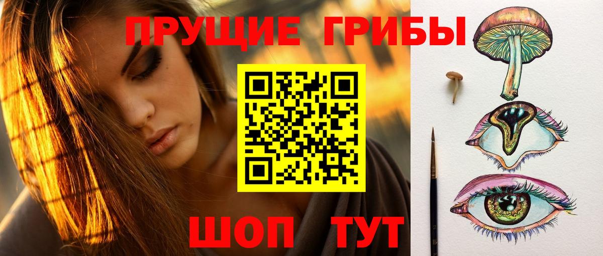 Галлюциногенные грибы MAGIC MUSHROOMS  Вход с VPN  Пенза  Псилоцибиновые грибы мицелий 