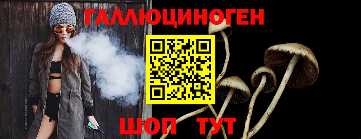 Псилоцибиновые грибы мицелий Пенза